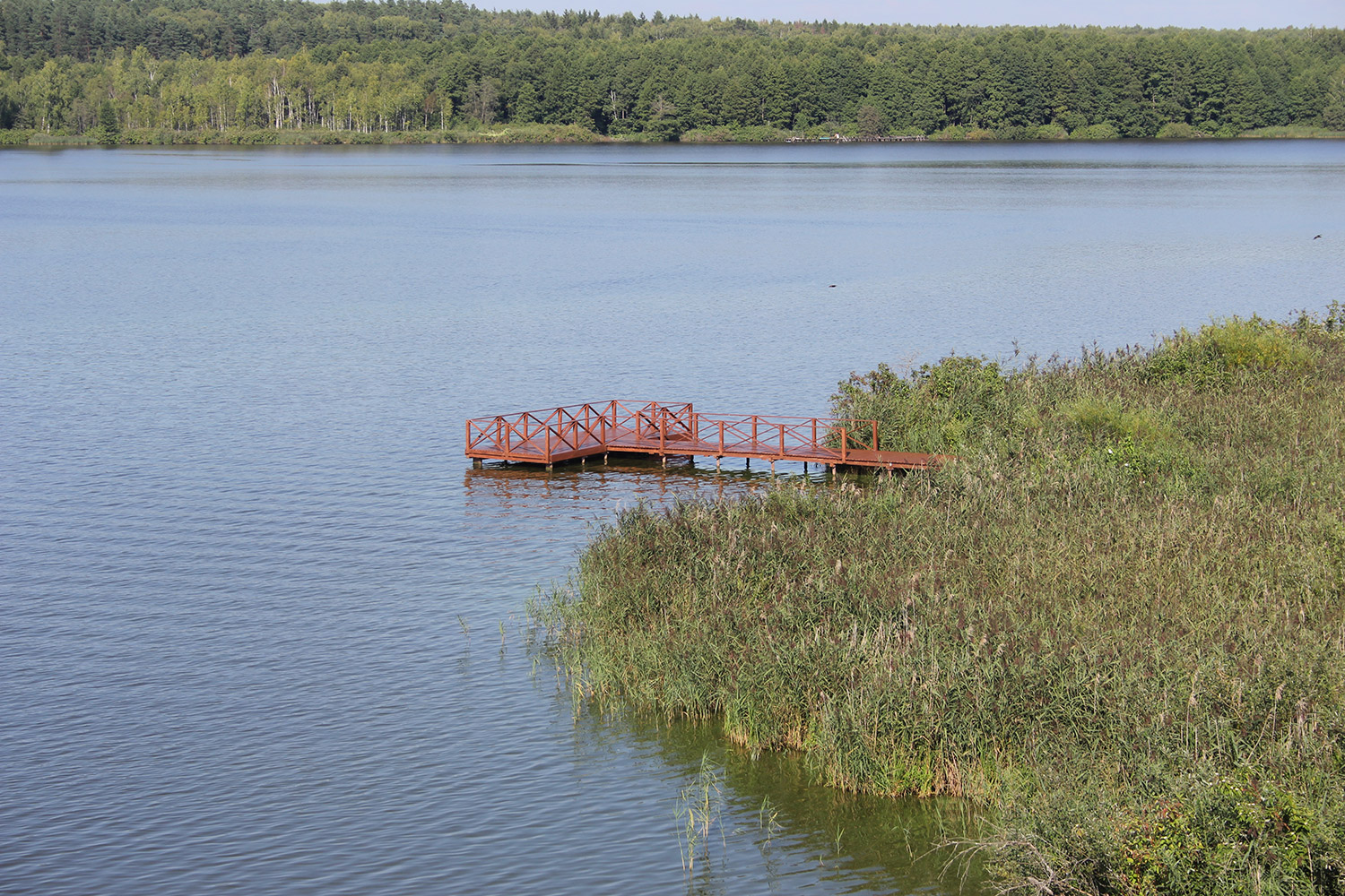 Жилой комплекс Пестово Дмитровское шоссе