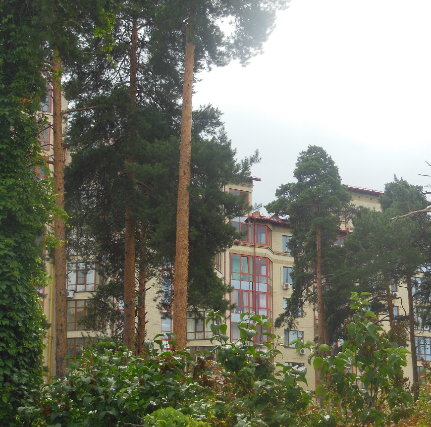 жилой комплекс Ильинский Раменский район Подмосковье